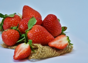 8 jagoda na dan čine čuda