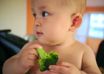 Karfiol i brokoli u bebinoj ishrani + recepti