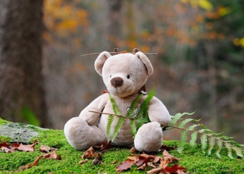 Imunitet nam slabi jer smo previše čisti