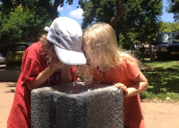 Bez vode pate mišići, nervi i srce