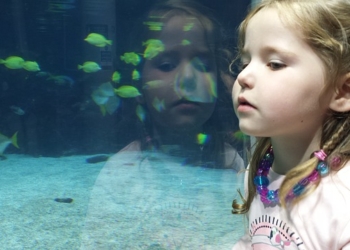 Zašto su važne omega – 3 masne kiseline u ishrani dece?