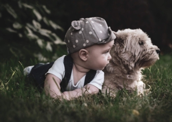 Pas, mačka i – beba