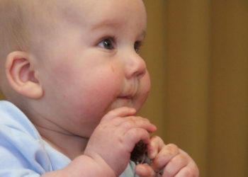 Eksperti upozoravaju na prekomerno hranjenje novorođenčadi