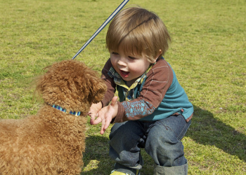 Kuce štite bebe od infekcija