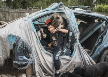 Brus Li i Odmetnik” na Beldocsu 2019