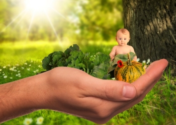 Kako ubediti dete da jede povrće (i znati da je pojelo dovoljno)