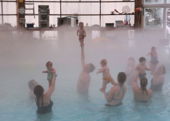 Porodični filmovi na Beldocsu 2019