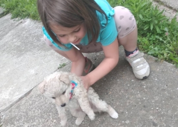 Ne sećam se kada sam popila kafu bez dece. Skoro da sam je prestala da pijem.