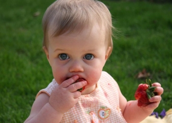 Na jagode telo brzo i burno reaguje