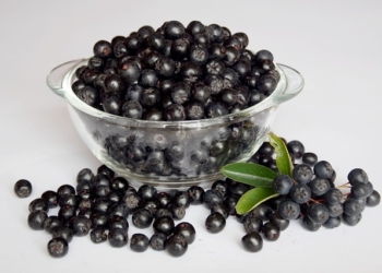 Lekovita aronija: Kako napraviti i u kojoj količini piti sok od aronije