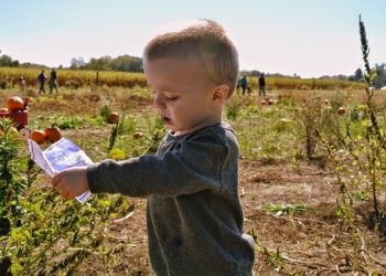 Ono što te selo naučilo, neće ni škola ni grad