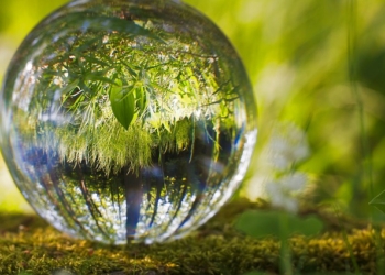 Važnost edukacije iz oblasti klimatski promena