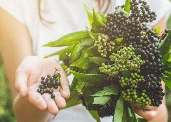 Kako se leče virusne infekcije