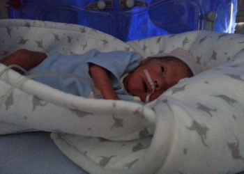 Ljubičasti svet: Ovo je priča o jednom malom divu