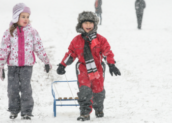 Gde se krije imunitet