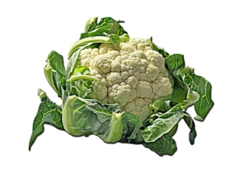 Jedino povrće bez masti i kalorija: Kod ovih 10 stanja može da vam pomogne