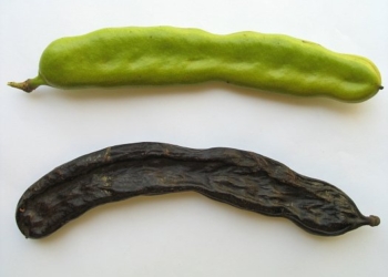 Zima je na pragu, zdrave namirnice su nam neophodne