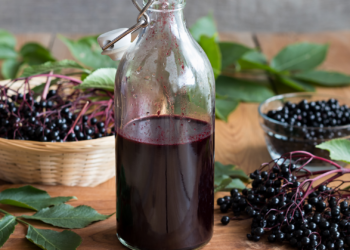 Zašto je crna zova odličan lek – 5 važnih činjenica