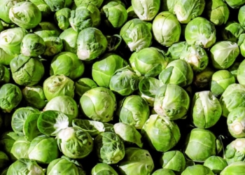 Zdravlje iz tanjira: Prokelj i kupus jačaju imunitet