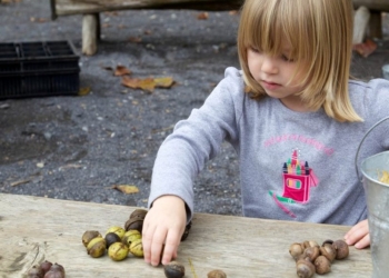 Zasto su orašasti plodovi značajni u ishrani školske dece?  