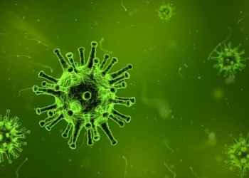 Korona virus – sve što treba da znate