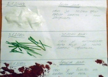 „Dnevnik sa raspusta“ – sredstvo za mučenje đaka, ili to ipak ima nekog smisla?