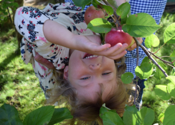 Zdravlje na usta ulazi ili ne?