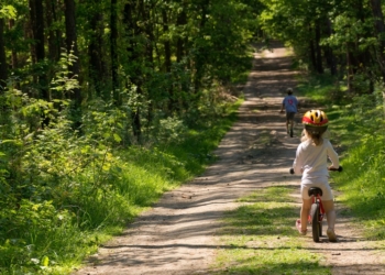 Naučnici iz Japana objasnili zašto pola sata boravka u dubokoj šumi štiti imunitet čak dva meseca
