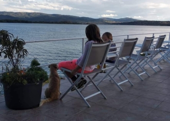 Čemu nas je pas naučio