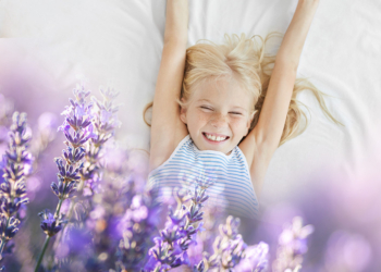 Lavanda – moć eteričnog ulja za prehladu i grip