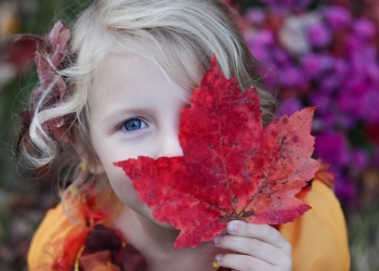 Dansko vaspitanje: Malo obaveza i mnogo priprema za život, a sloboda je ključ
