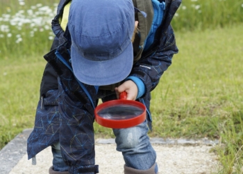 Da zabavite dete i probudite u njemu istraživača dovoljno da u park ponesete jednu stvarčicu