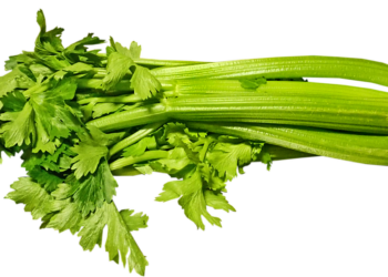 Celer supernamirnica – ima mnoga zaštitna jedinjenja važna za ljudsko zdravlje