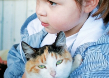 Bolest ogrebotine mačke (cat scratch desease)