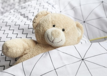 Šta sve niste znali o plišanim igračkama?