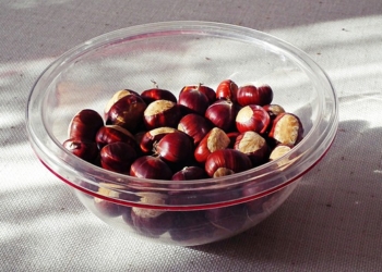 Kesten leči čak 13 bolesti: Pun je magnezijuma i vitamina C!