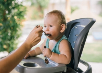 Šta sve podrazumeva organska hrana za bebe?