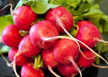 8 zdravstvenih prednosti zbog kojih treba da jedete rotkvice svaki dan