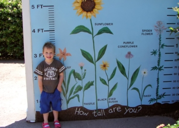 Ako dete raste manje od četiri centimetra godišnje, proverite šta se dešava