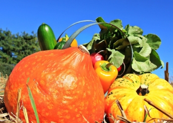 Najbolje namirnice za jesen prema mišljenju stručnjaka