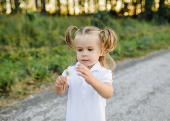 U vazduhu trenutno prisutno 12 vrsta polena drveća sa alergenim svojstvima