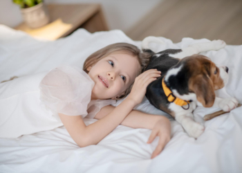 Koliko je (ne)zdravo puštati ljubimce u krevet