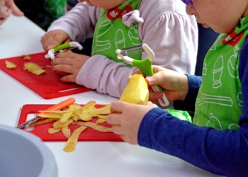 Hrvatski đaci dobijaju predmet sličan nekadašnjem domaćinstvu