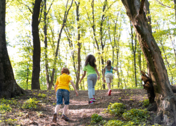 Dečiji kampovi – bezbedni ili ne?