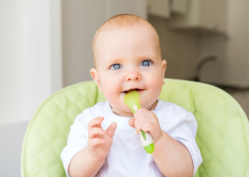 Šta je multimix princip formiranja obroka za bebu?