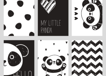 Zašto bebe vole crno bele kartice