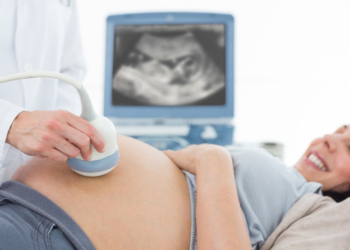 Svaka testirana posteljica sadrži mikroplastiku