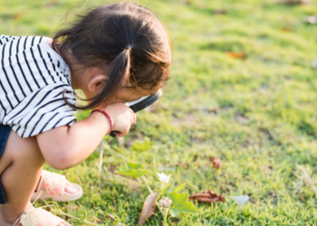 Povećan broj krpelja: Kako se zaštiti tokom boravka u prirodi