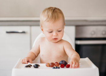 Kada beba sme da jede šljive?