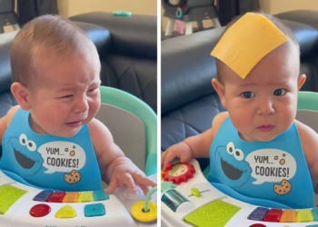 Kontraverzni trend: Da li je zabavno ili ipak neprihvatljivo ponašanje roditelja